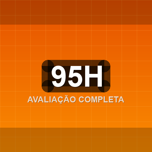 95h logo