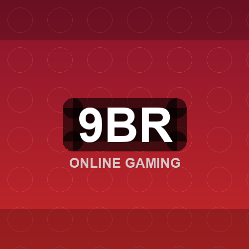 9br logo