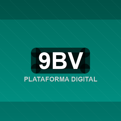 9bv logo