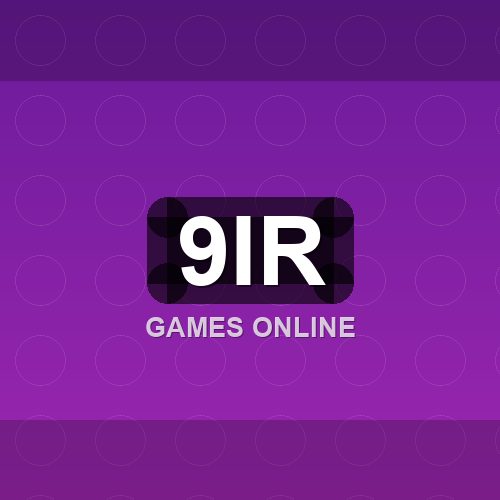 9ir logo
