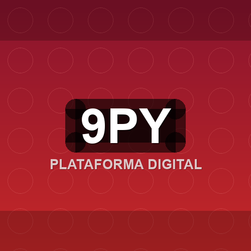 9py logo