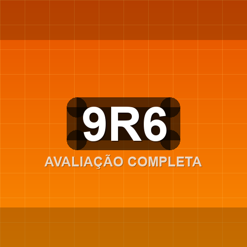 9r6 logo