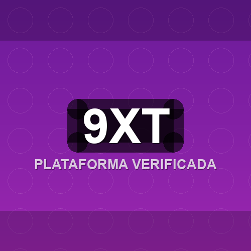 9xt logo