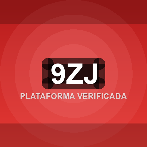 9zj logo