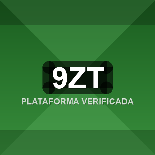 9zt logo