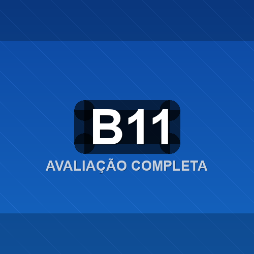 b11 logo