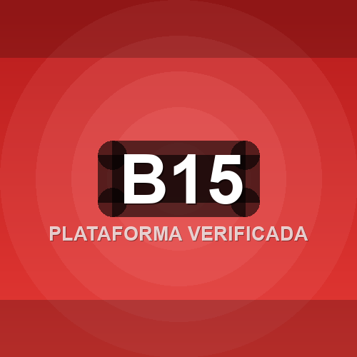 b15 logo