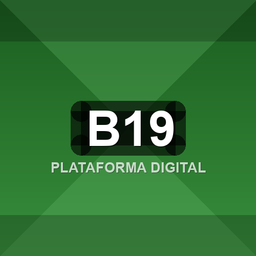 b19 logo