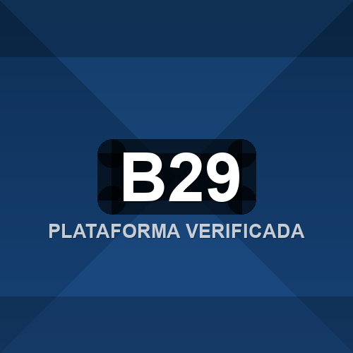 b29 logo