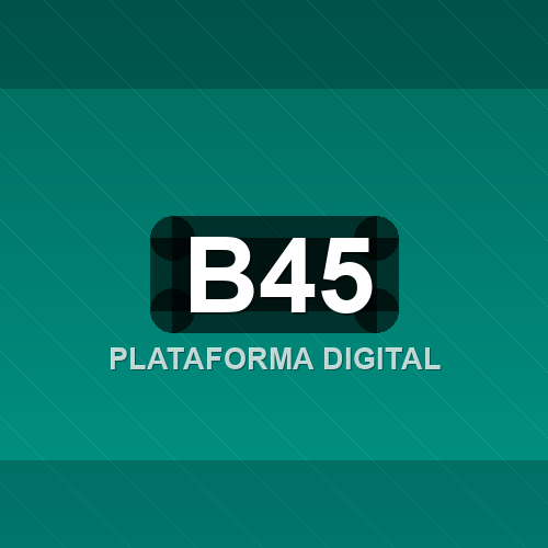b45 logo