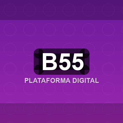 b55 logo