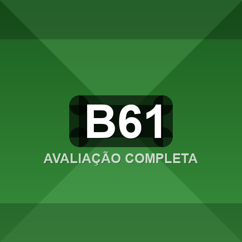 b61 logo