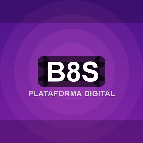 b8s logo