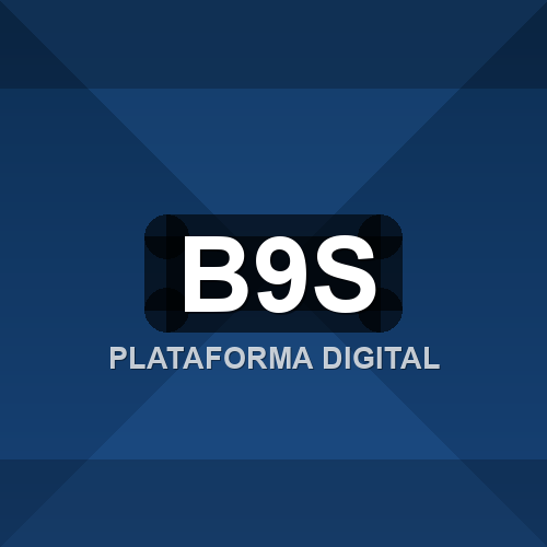 b9s logo