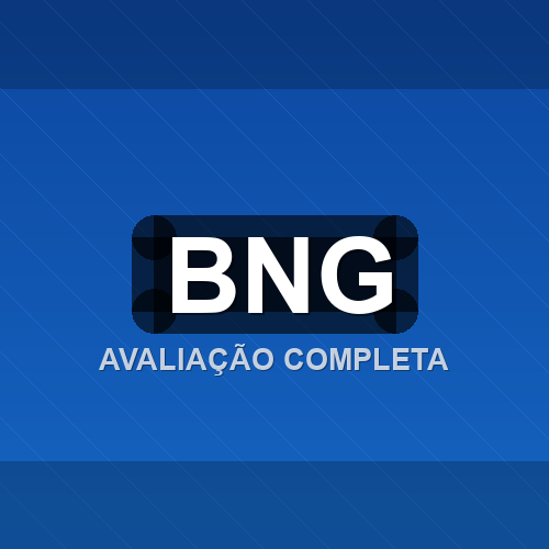 bng logo