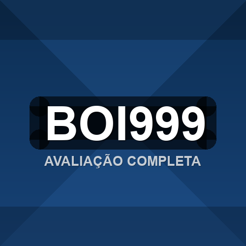 boi999 logo