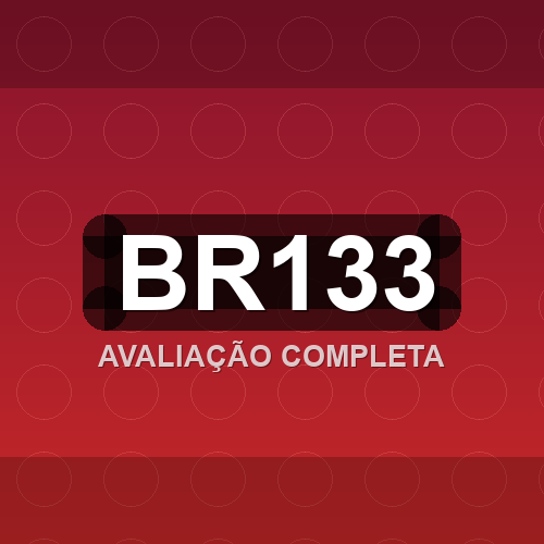 br133 logo