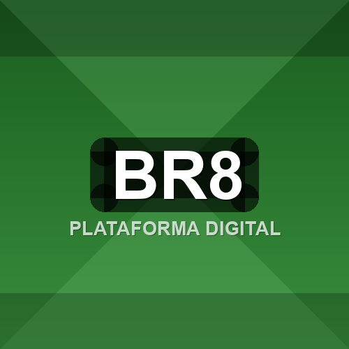 br8 logo