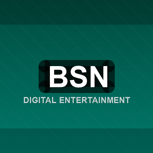 bsn logo