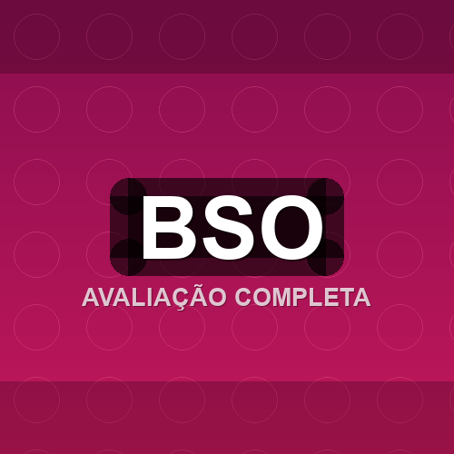 bso logo