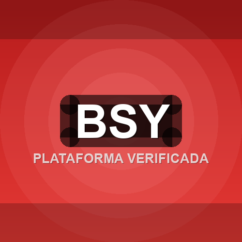 bsy logo