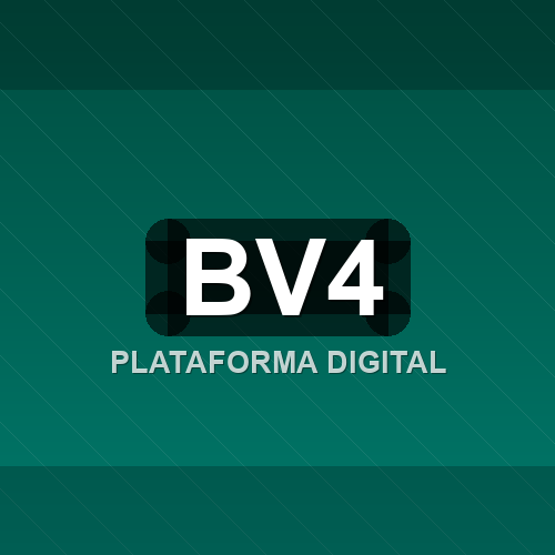 bv4 logo