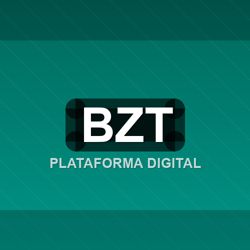 bzt logo