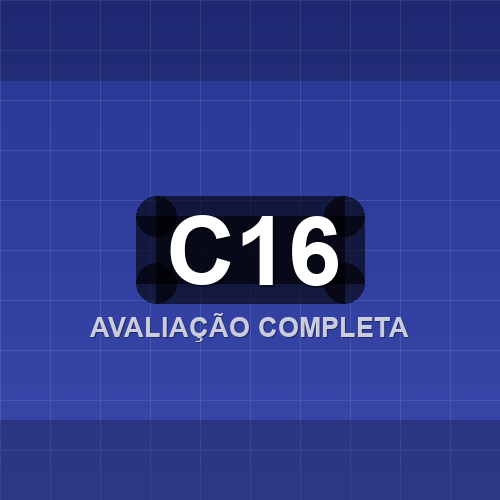 c16 logo