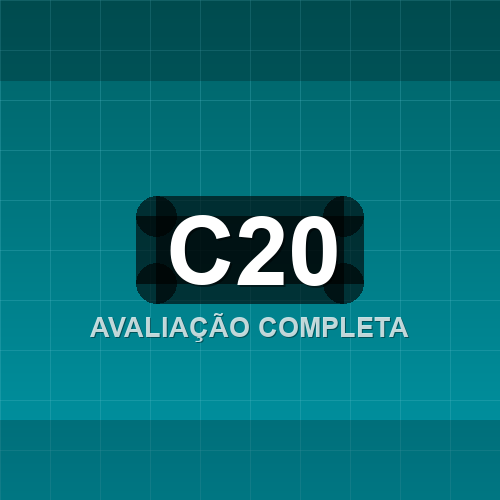 c20 logo