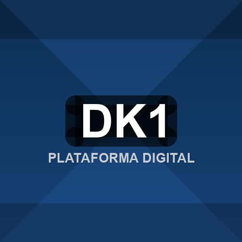 dk1 logo