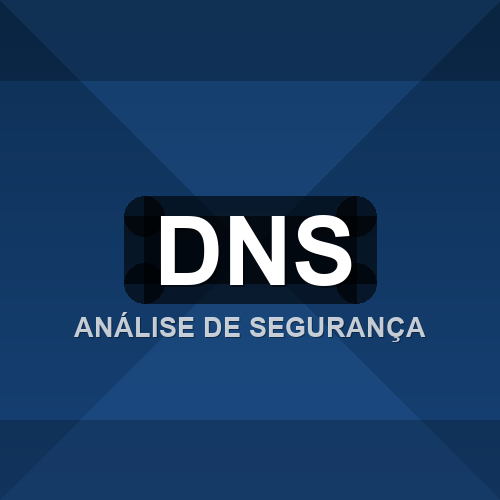 dns logo