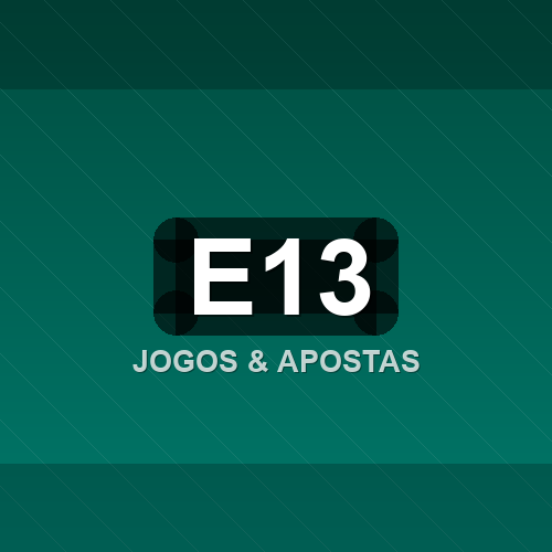 e13 logo