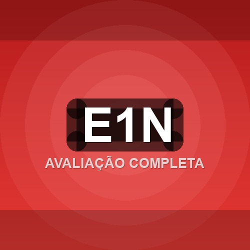 e1n logo