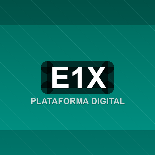 e1x logo