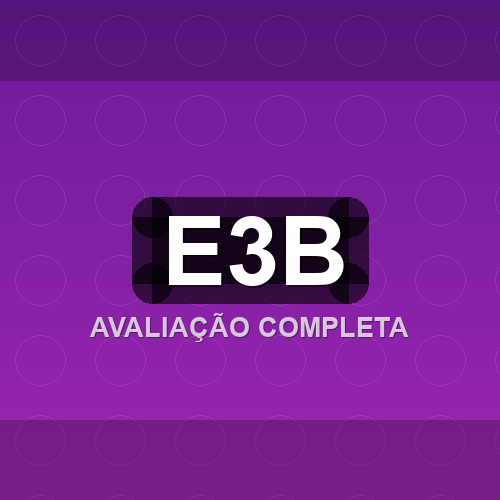 e3b logo