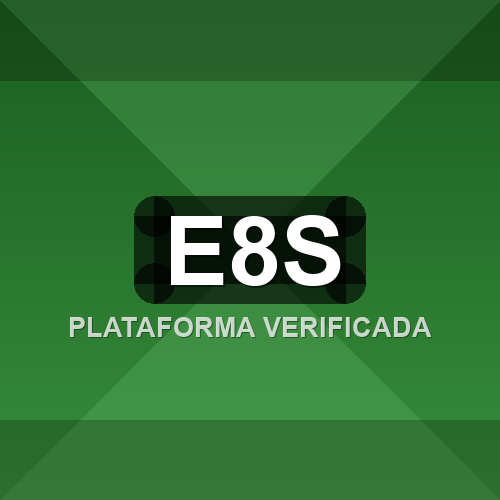 e8s logo