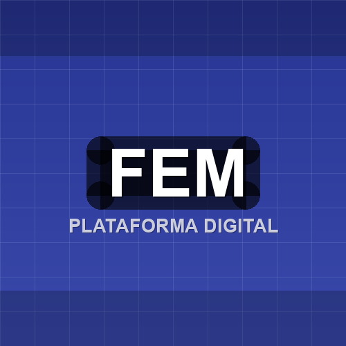 fem logo