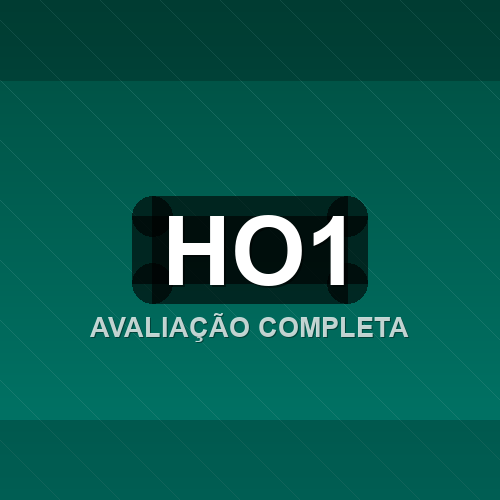 ho1 logo