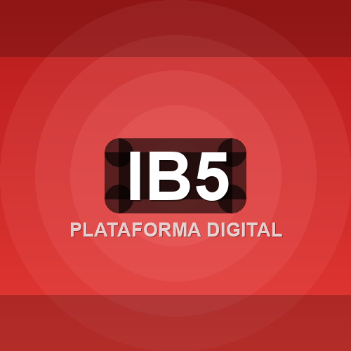 ib5 logo