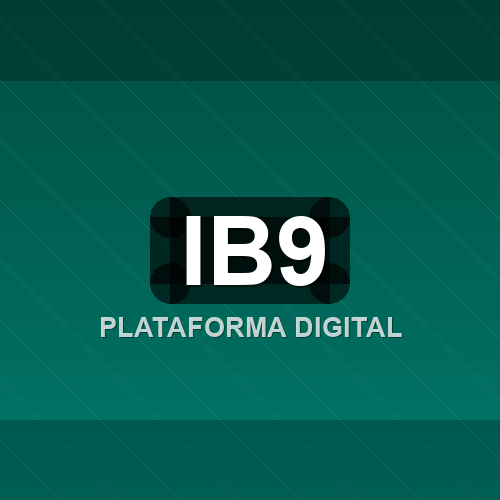ib9 logo