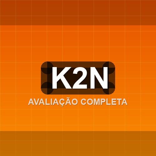 k2n logo