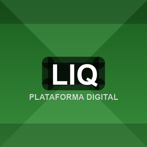 liq logo