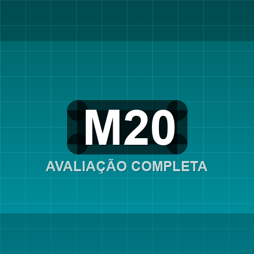 m20 logo