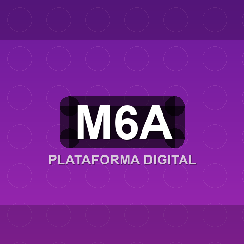 m6a logo
