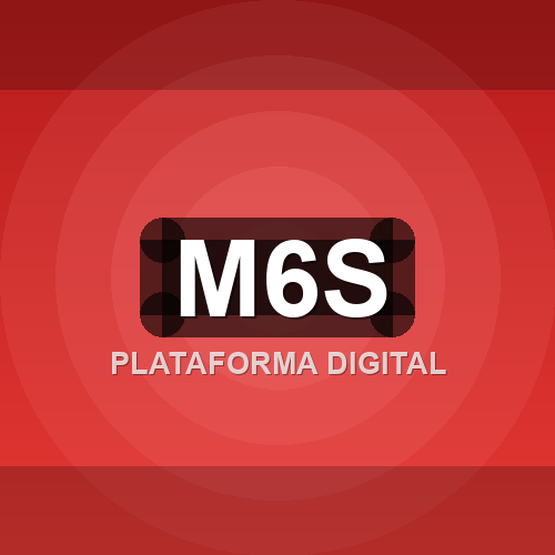 m6s logo