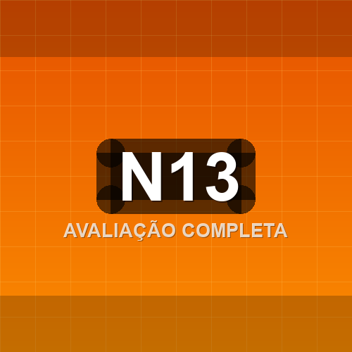 n13 logo