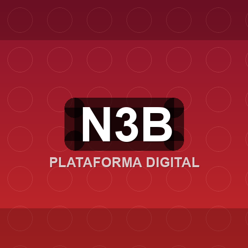 n3b logo