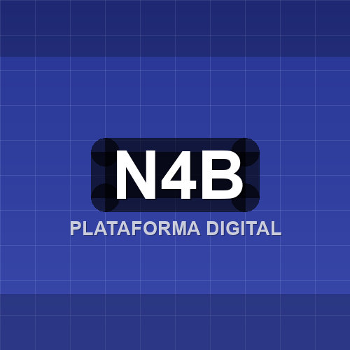 n4b logo