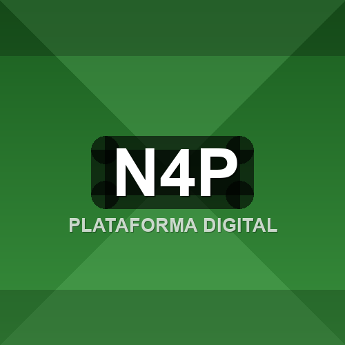 n4p logo