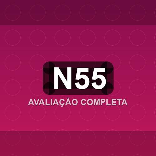 n55 logo